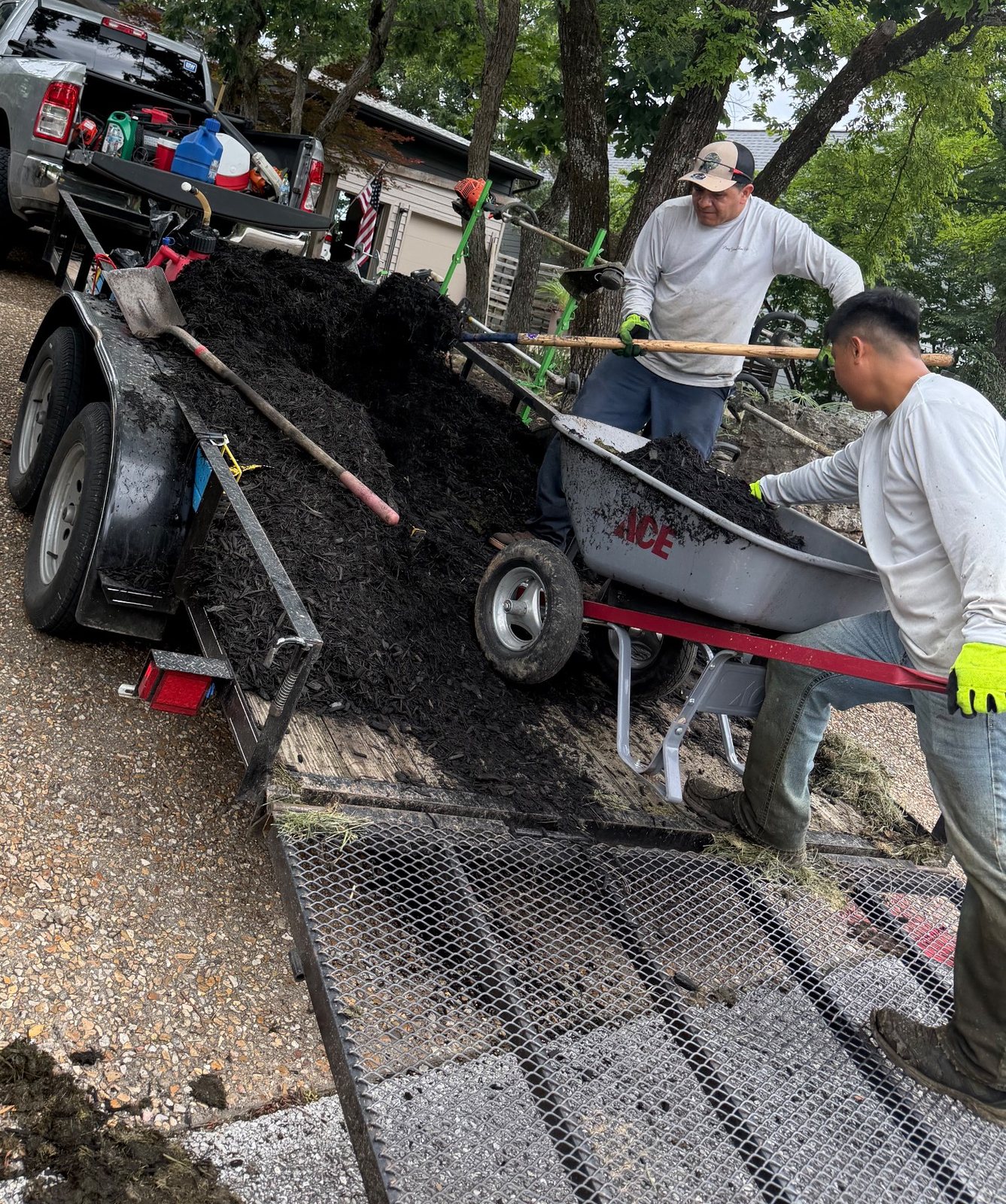 Crew unloading mulch from the dump trailer by wheelbarrow
