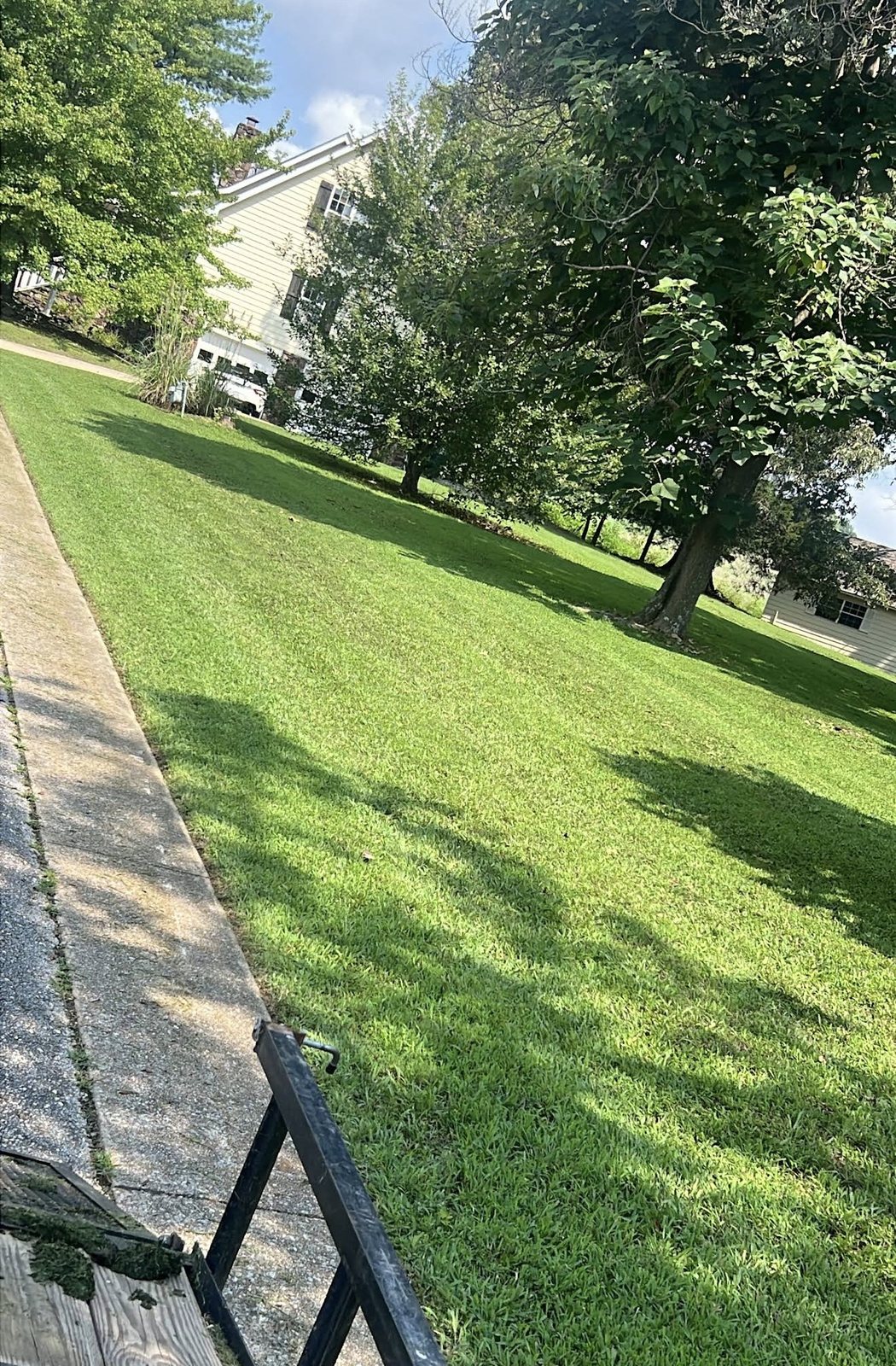Mown stripes running the length of a walkway